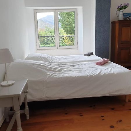 La Bergerie, Maison Spacieuse Avec Grand Jardin, Vue Sur Les Pyrenees Lourdes Eksteriør bilde